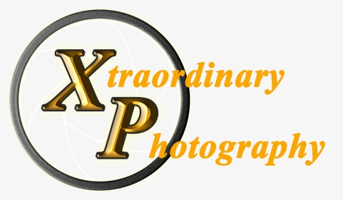 Professional Photographer Windsor Logo - Circle, HD Png Download, Transparent PNG