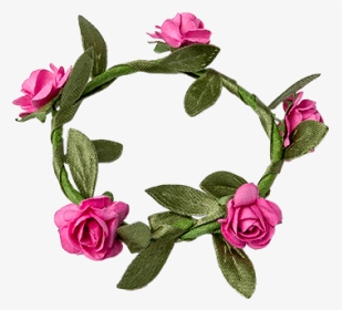 Marque Place Couronne De Roses Fuchsia X4 - Rosa Glauca, HD Png Download, Transparent PNG