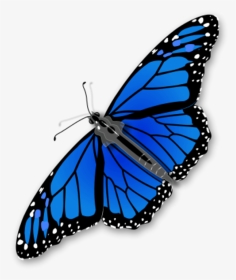 Large Monarch Butterfly 0 - Butterfly Clip Art, HD Png Download, Transparent PNG