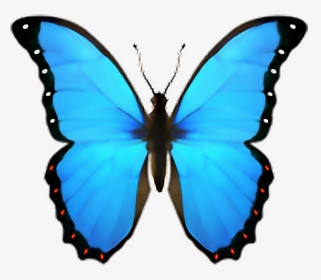#emoji - Emoji Butterfly Png, Transparent Png, Transparent PNG