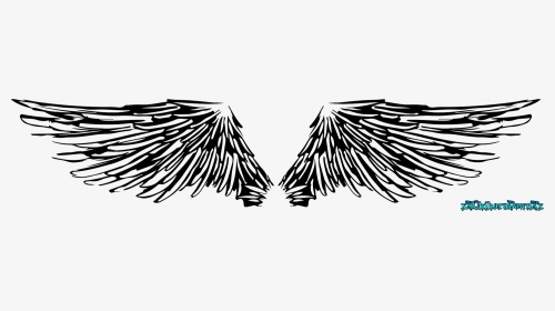 Angel Wings Line Art By Xxchiharudawnxx On Deviantart, HD Png Download, Transparent PNG