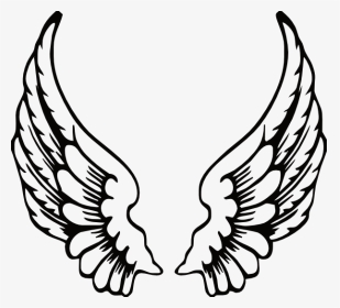 Free Angel Wings Svg, HD Png Download, Transparent PNG