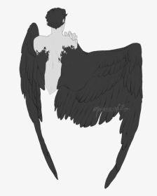 Angel Wings Drawing Reference, HD Png Download, Transparent PNG