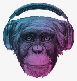 Ape Thinker S Home Background - Monkey With Headphones, HD Png Download, Transparent PNG