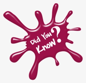 Fun Facts Png - Did You Know, Transparent Png, Transparent PNG
