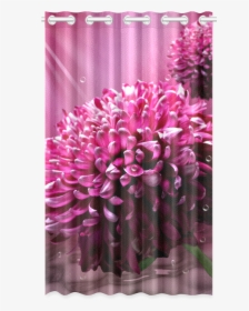 Majestic Magenta Flowers Water Background New Window - Window Valance, HD Png Download, Transparent PNG