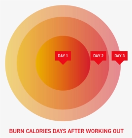 Chart-2 Optim2 - Circle, HD Png Download, Transparent PNG