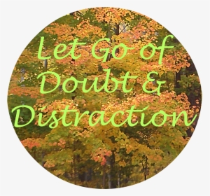 Let Go Of Doubt Distraction - Circle, HD Png Download, Transparent PNG
