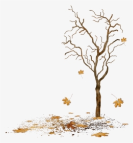 Beautiful Tree Png Icon And Background Transparent - Bare Tree With Leaves Falling, Png Download, Transparent PNG