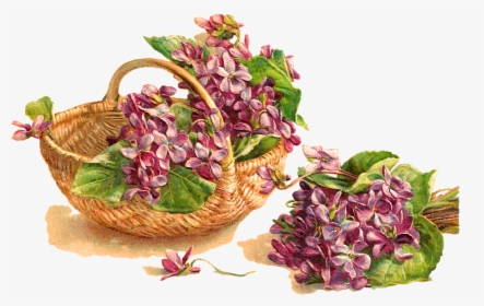Flower Violet Basket Download Image - Carte De Vœux Anciennes, HD Png Download, Transparent PNG