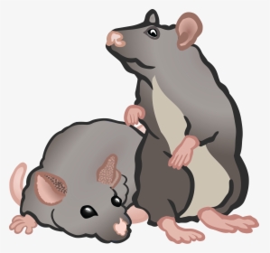 Thumb Image - Rat And Mouse Clipart, HD Png Download, Transparent PNG