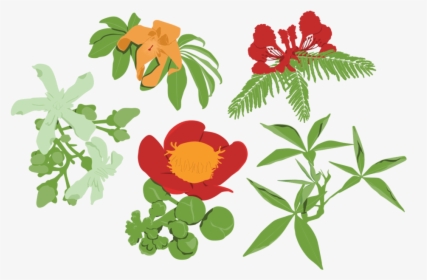 Frd Gbdbg Darwin Grown Graphics Flowers, HD Png Download, Transparent PNG