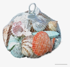 2 Assorted Polished Shells In A White Plastic Net Hanger - White Plastic Mesh Bag, HD Png Download, Transparent PNG
