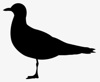 Vögel Piktogramm Png, Transparent Png, Transparent PNG