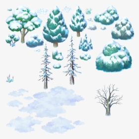 White Pine, HD Png Download, Transparent PNG