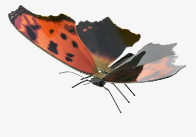 Metal Earth Butterflies - Butterfly, HD Png Download, Transparent PNG