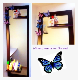 The 3d Butterfly - Shelf, HD Png Download, Transparent PNG