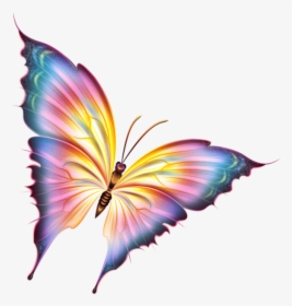 Growth Clipart Butterfly - Beautiful Butterfly Pictures Png, Transparent Png, Transparent PNG