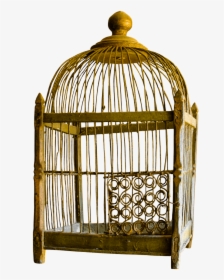 Golden Cage Png Transparent Background - Cage, Png Download, Transparent PNG