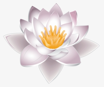 Nelumbo Nucifera Water Lily Clip Art - Aquatic Plants Drawing Water Lily, HD Png Download, Transparent PNG