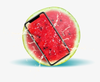 Img - Watermelon, HD Png Download, Transparent PNG