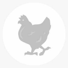 Rooster Chicken As Food Fauna Silhouette Black - Rooster, HD Png Download, Transparent PNG