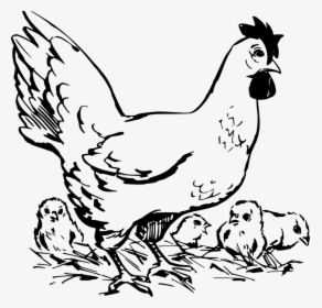 Chicken And Chicks Clipart Black And White, HD Png Download, Transparent PNG