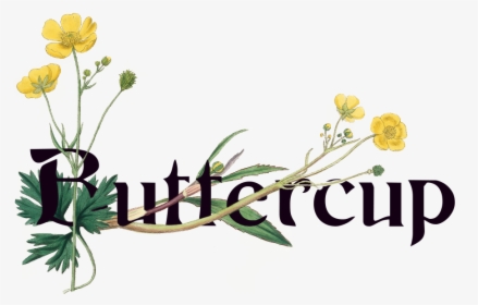 Buttercup, HD Png Download, Transparent PNG