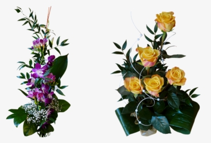 Floribunda, HD Png Download, Transparent PNG