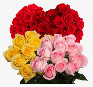 Best Flowers For Birthday - Beautiful Rose Color, HD Png Download, Transparent PNG