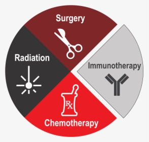 Radiation Chemotherapy Surgery Immunotherapy, HD Png Download, Transparent PNG