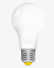 Led Light Bulb Wind Down - Incandescent Light Bulb, HD Png Download, Transparent PNG