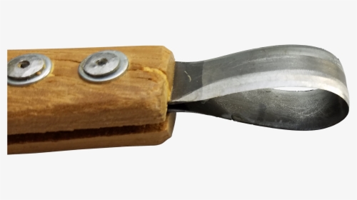 Rudyban Tool Bonsai, HD Png Download, Transparent PNG