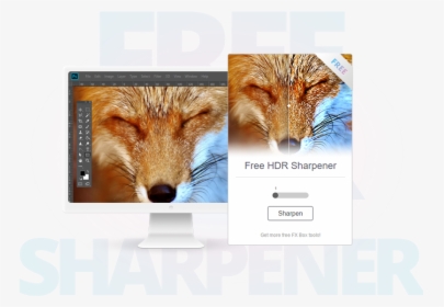 Red Fox, HD Png Download, Transparent PNG