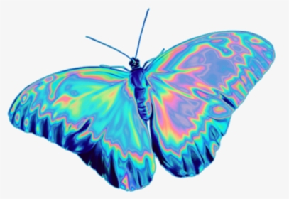 #butterfly #tumblr #easthetic #blue #purple #freetoedit - Holographic Insect Png, Transparent Png, Transparent PNG