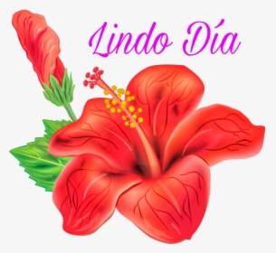 #buenos Dias - Hibiscus Flower Vector Png, Transparent Png, Transparent PNG