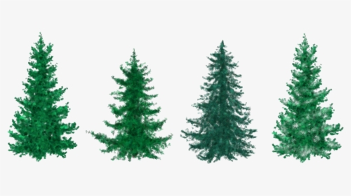 Fir Tree Clipart Group Tree - Fir Christmas Tree Clipart, HD Png Download, Transparent PNG