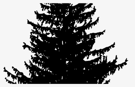 19 Woods Clipart Download Redwood Forest Huge Freebie - White Pine Tree Silhouette, HD Png Download, Transparent PNG