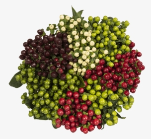 Seedless Fruit, HD Png Download, Transparent PNG