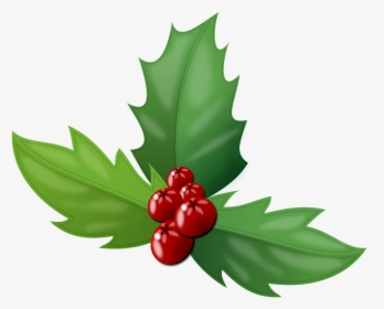Holly Berry Png, Transparent Png, Transparent PNG