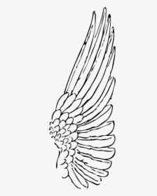 Wings Drawing At Getdrawings - Wings Drawing Side View, HD Png Download, Transparent PNG