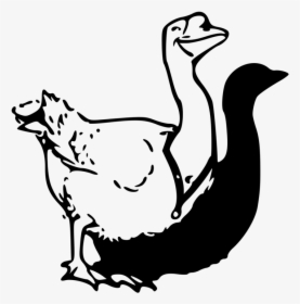 Fowl,goose,duck - Clip Art, HD Png Download, Transparent PNG
