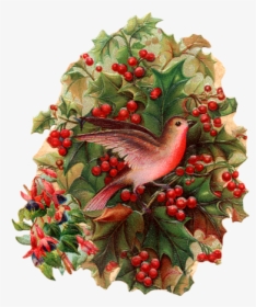 #christmas #bird #holly #berries #freetoedit - Rose Hip, HD Png Download, Transparent PNG