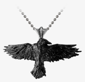 Black Raven Necklace - Corbeau Accessoire Cheveux, HD Png Download, Transparent PNG