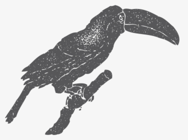 New Caledonian Crow, HD Png Download, Transparent PNG