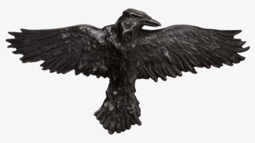 Black Raven Hair Clip - Gothic Raven Crow, HD Png Download, Transparent PNG