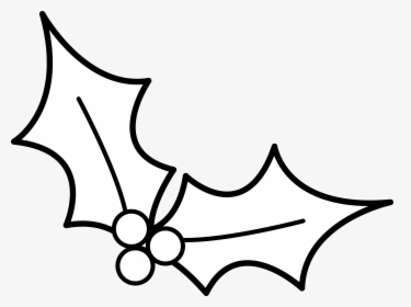 Christmas Holly Line Art - Christmas Holly Clip Art, HD Png Download, Transparent PNG
