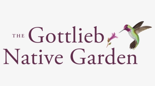 The Gottlieb Native Garden - Parfumerie Fragonard, HD Png Download, Transparent PNG
