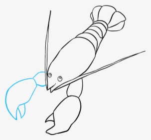How To Draw Lobster - Line Art, HD Png Download, Transparent PNG