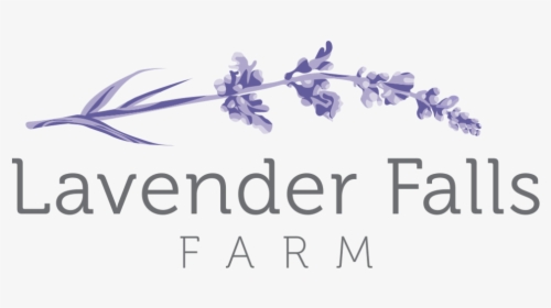 Lavendar Png, Transparent Png, Transparent PNG
